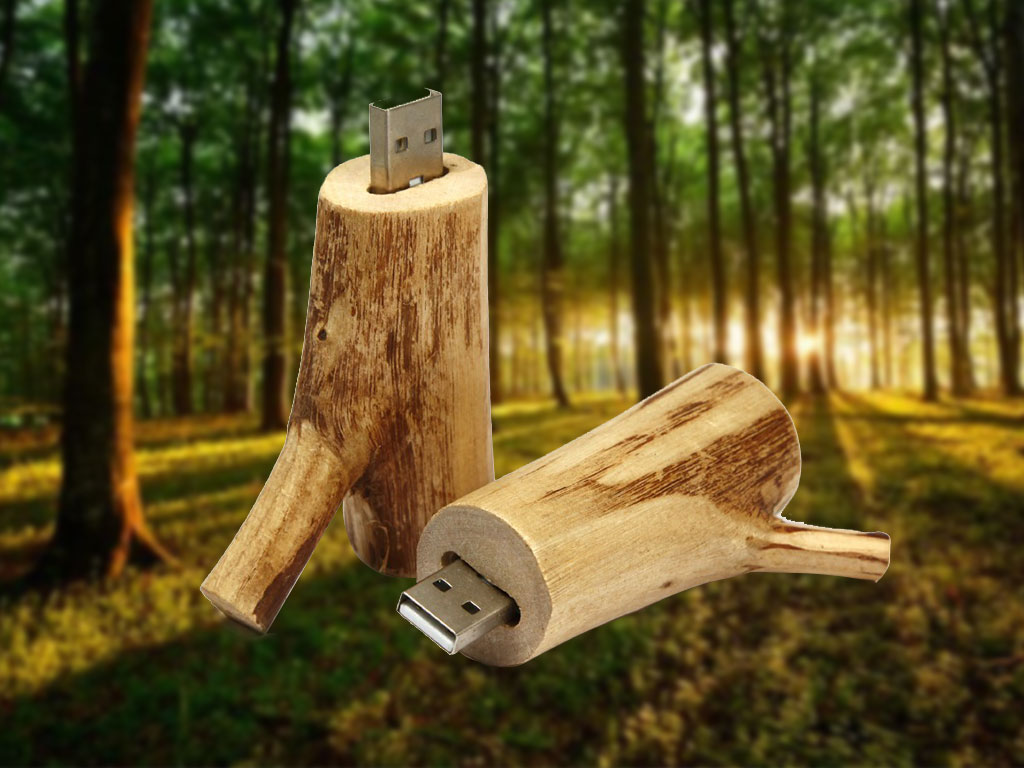 USB Holz ohne Rinde