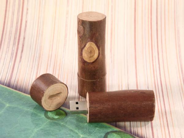 USB-Stick Holzstamm