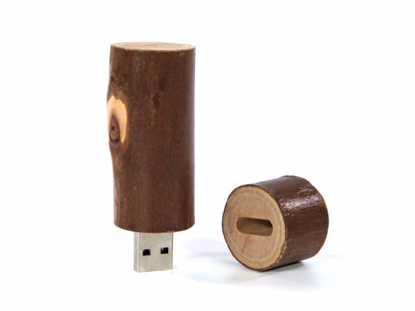 USB-Stick Holzstamm