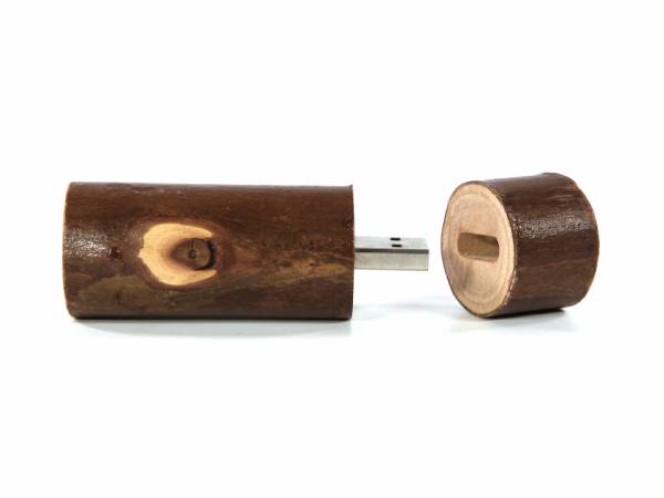 USB-Stick Holzstamm