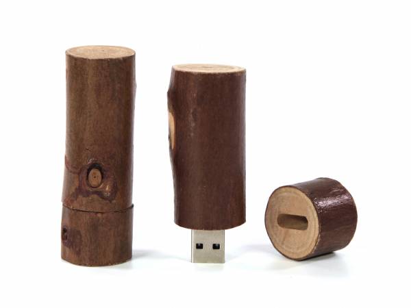 USB-Stick Holzstamm